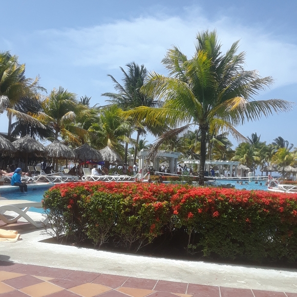 Meet your Posher, Jlo - Picture 2 of 2